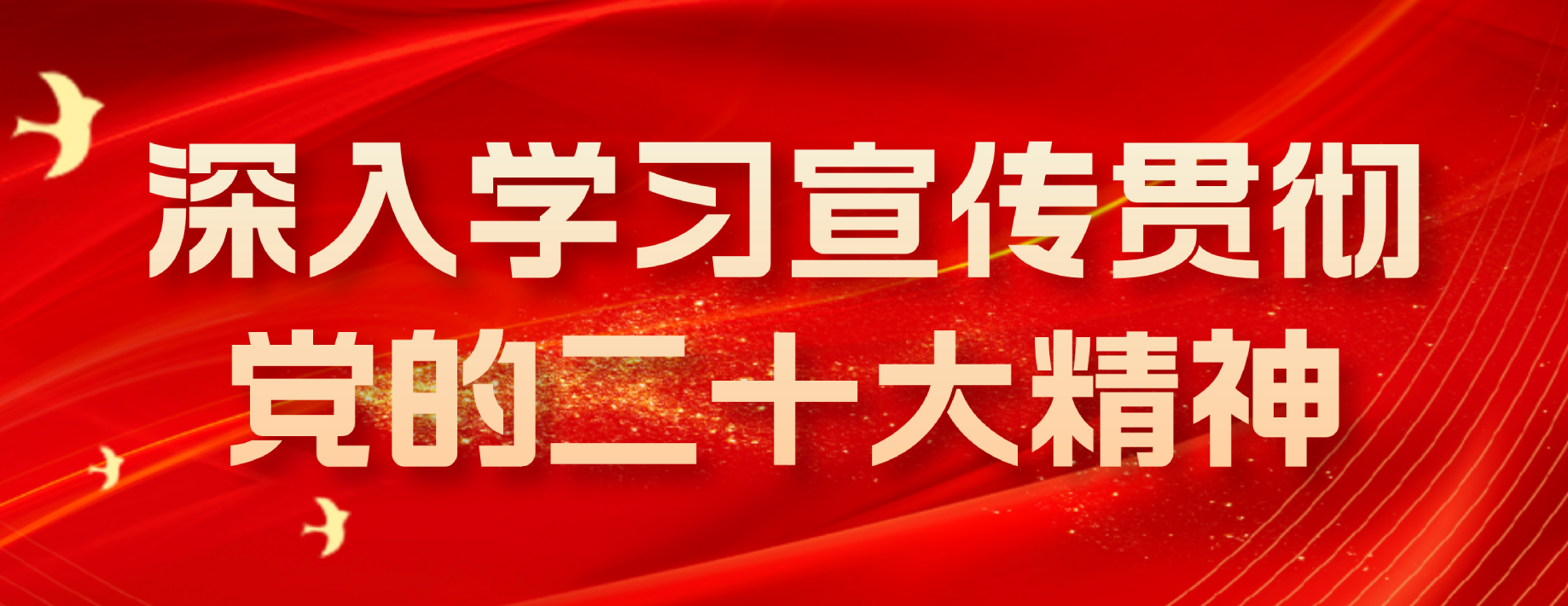 深入学习宣传贯彻党的二十大精神